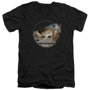 Black men's v-neck t-shirt with Wild Wings Everyone Loves Kitty graphic