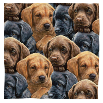 Wild Wings Puppies bandana