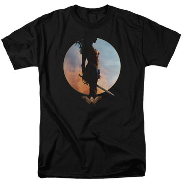 Wonder Woman Wisdom And Wonder Men's Regular Fit T-Shirt Men's Regular Fit T-Shirt Wonder Woman