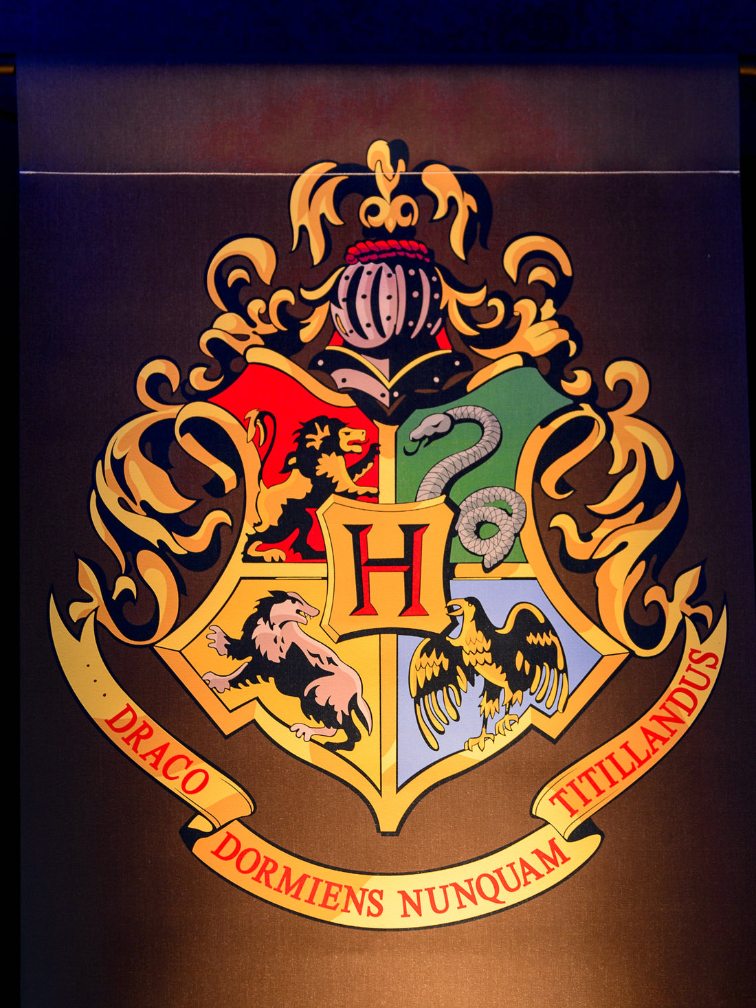 Decoding Hogwarts: Unraveling the Mystery of the Best Harry Potter House