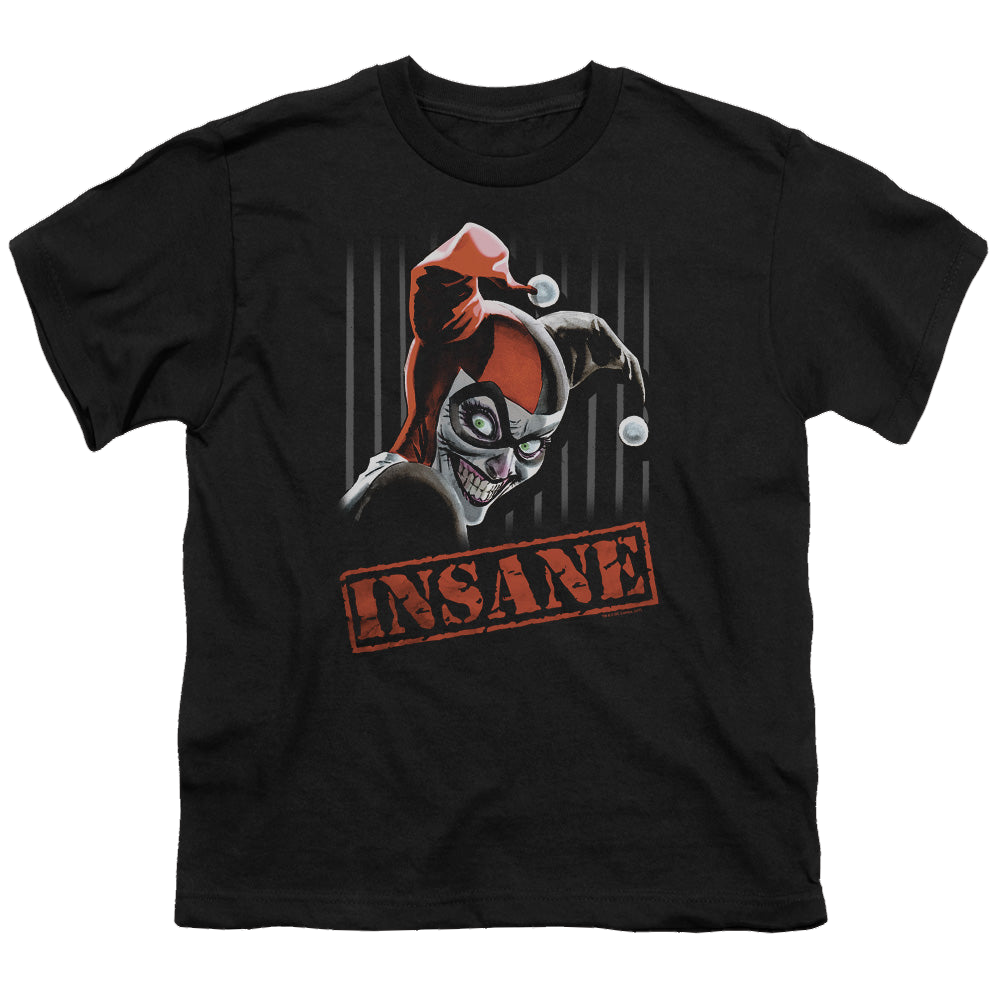 Harley Quinn Insane - Youth T-Shirt Youth T-Shirt (Ages 8-12) Harley Quinn   