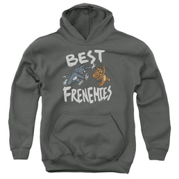 Tom and Jerry Best Frenemies - Youth Hoodie Youth Hoodie (Ages 8-12) Tom and Jerry   