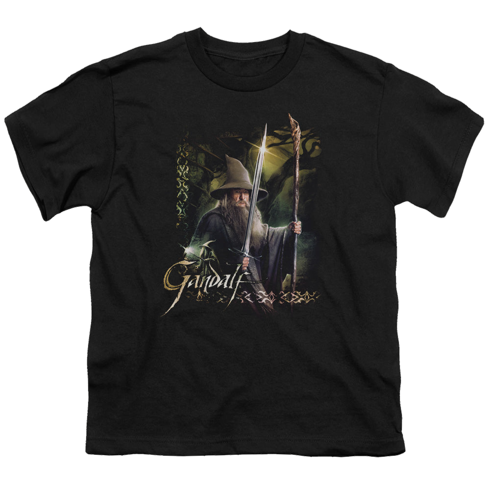 Hobbit Movie Trilogy, The Sword And Staff - Youth T-Shirt Youth T-Shirt (Ages 8-12) The Hobbit   