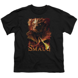 Hobbit Movie Trilogy, The Smolder - Youth T-Shirt Youth T-Shirt (Ages 8-12) The Hobbit   
