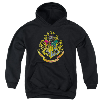 Harry Potter Hogwarts Crest - Youth Hoodie Youth Hoodie (Ages 8-12) Harry Potter   