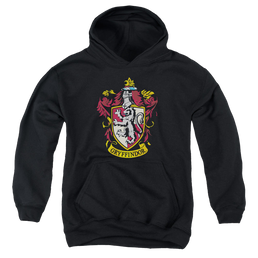 Harry Potter Gryffindor Crest - Youth Hoodie Youth Hoodie (Ages 8-12) Harry Potter   