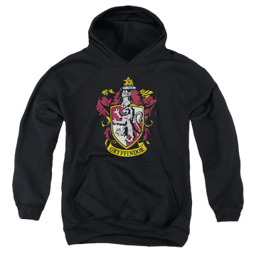 Harry Potter Gryffindor Crest - Youth Hoodie Youth Hoodie (Ages 8-12) Harry Potter   