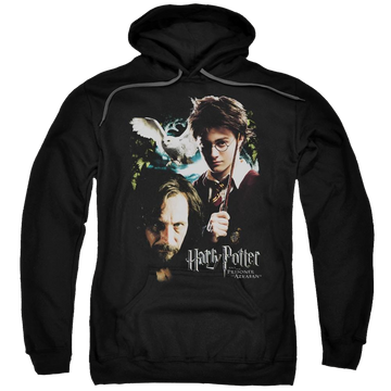Harry Potter Harry And Sirius Pullover Hoodie Pullover Hoodie Harry Potter   