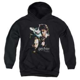Harry Potter Harry And Sirius - Youth Hoodie Youth Hoodie (Ages 8-12) Harry Potter   