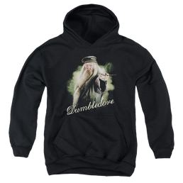 Harry Potter Dumbledore Wand - Youth Hoodie Youth Hoodie (Ages 8-12) Harry Potter   