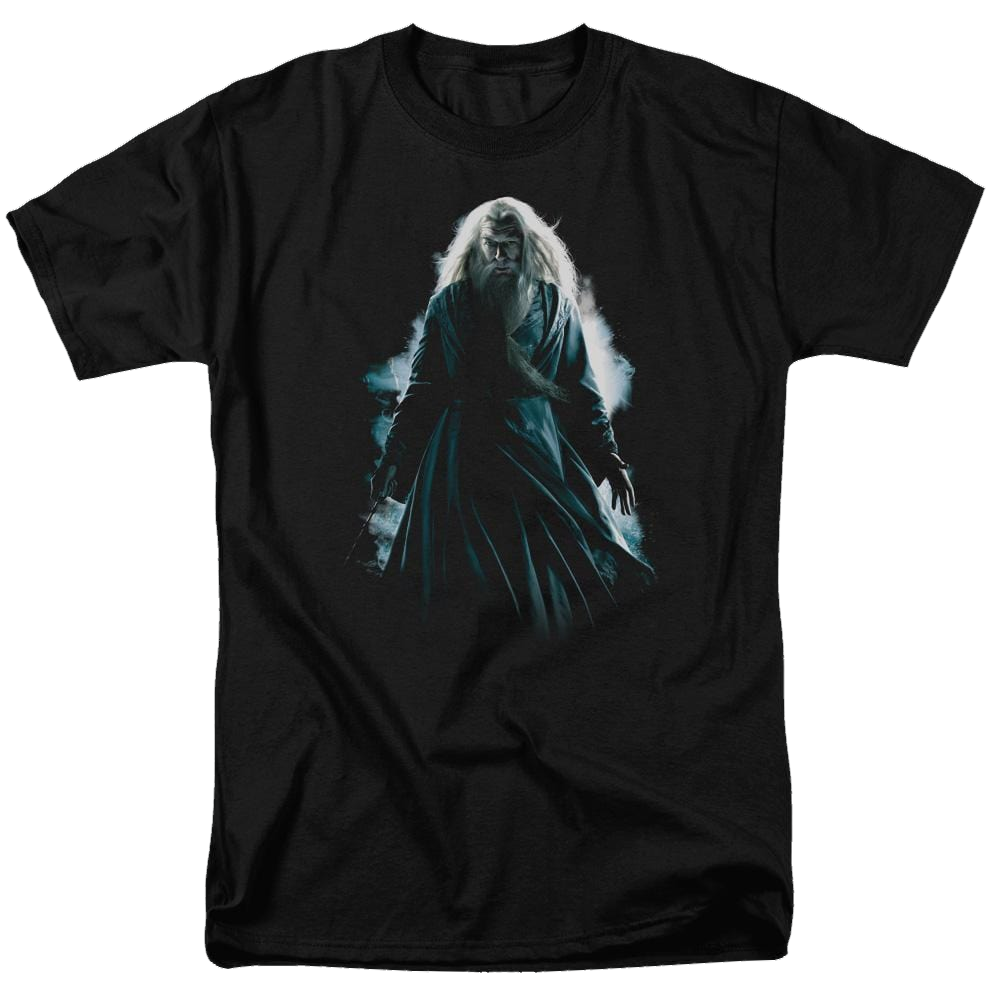Harry Potter Dumbledore Burst Men's Regular Fit T-Shirt Men's Regular Fit T-Shirt Harry Potter   