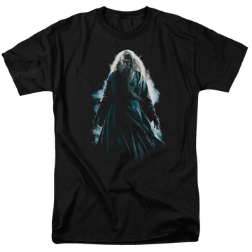 Harry Potter Dumbledore Burst Men's Regular Fit T-Shirt Men's Regular Fit T-Shirt Harry Potter   