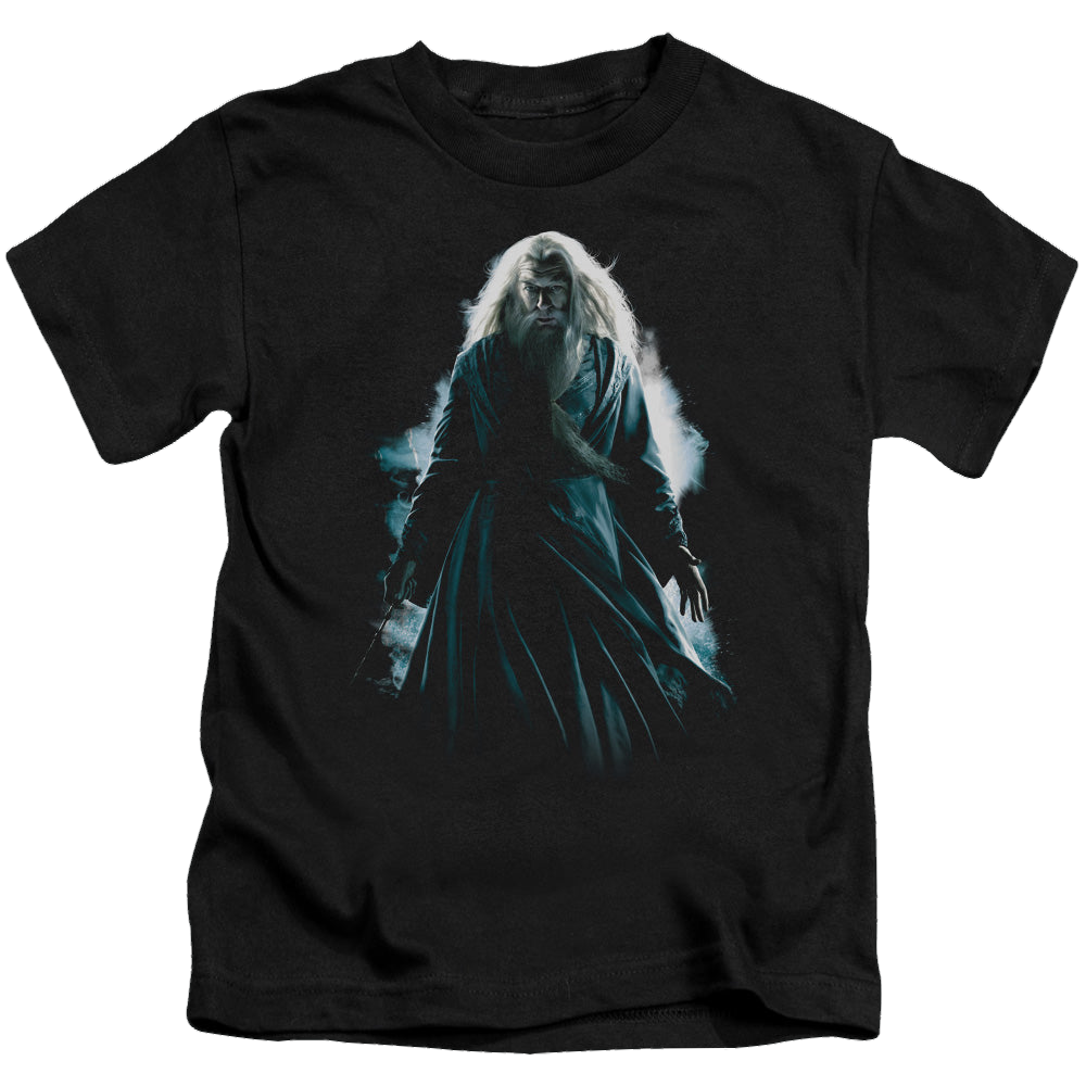 Harry Potter Dumbledore Burst - Kid's T-Shirt Kid's T-Shirt (Ages 4-7) Harry Potter   