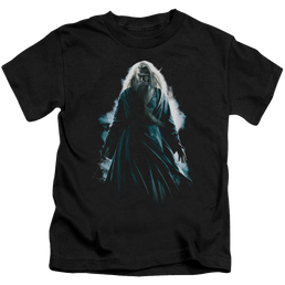 Harry Potter Dumbledore Burst - Kid's T-Shirt Kid's T-Shirt (Ages 4-7) Harry Potter   