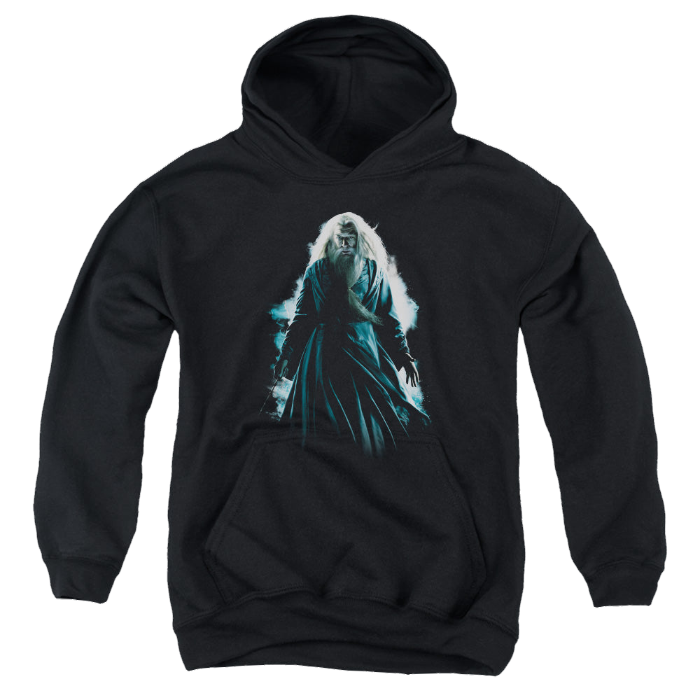 Harry Potter Dumbledore Burst - Youth Hoodie Youth Hoodie (Ages 8-12) Harry Potter   