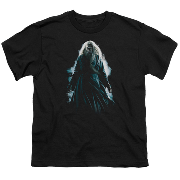 Harry Potter Dumbledore Burst - Youth T-Shirt Youth T-Shirt (Ages 8-12) Harry Potter   