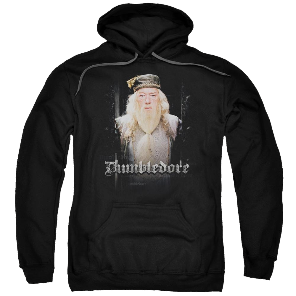 Harry Potter Dumble Doors Pullover Hoodie Pullover Hoodie Harry Potter   