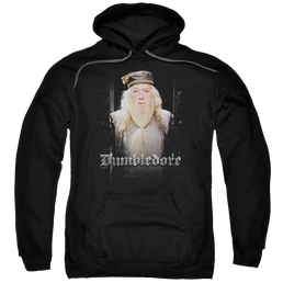 Harry Potter Dumble Doors Pullover Hoodie Pullover Hoodie Harry Potter   