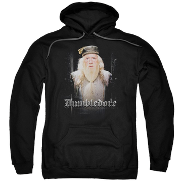 Harry Potter Dumble Doors Pullover Hoodie Pullover Hoodie Harry Potter   