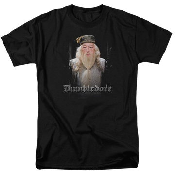 Harry Potter Dumble Doors Men's Regular Fit T-Shirt Men's Regular Fit T-Shirt Harry Potter   