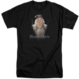Harry Potter Dumble Doors Men's Tall Fit T-Shirt Men's Tall Fit T-Shirt Harry Potter   