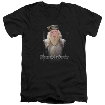 Harry Potter Dumble Doors Men's V-Neck T-Shirt Men's V-Neck T-Shirt Harry Potter   