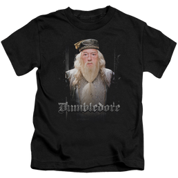 Harry Potter Dumble Doors - Kid's T-Shirt Kid's T-Shirt (Ages 4-7) Harry Potter   
