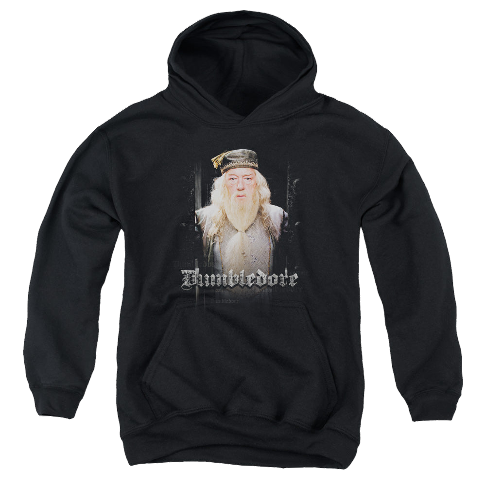 Harry Potter Dumble Doors - Youth Hoodie Youth Hoodie (Ages 8-12) Harry Potter   
