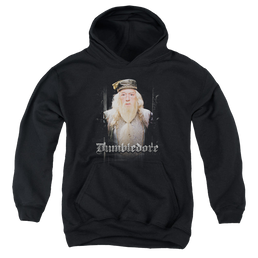 Harry Potter Dumble Doors - Youth Hoodie Youth Hoodie (Ages 8-12) Harry Potter   