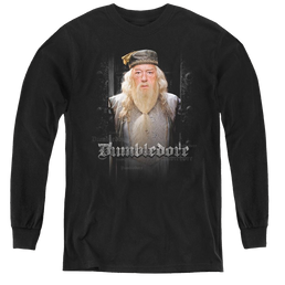 Harry Potter Dumble Doors - Youth Long Sleeve T-Shirt Youth Long Sleeve T-Shirt Harry Potter   