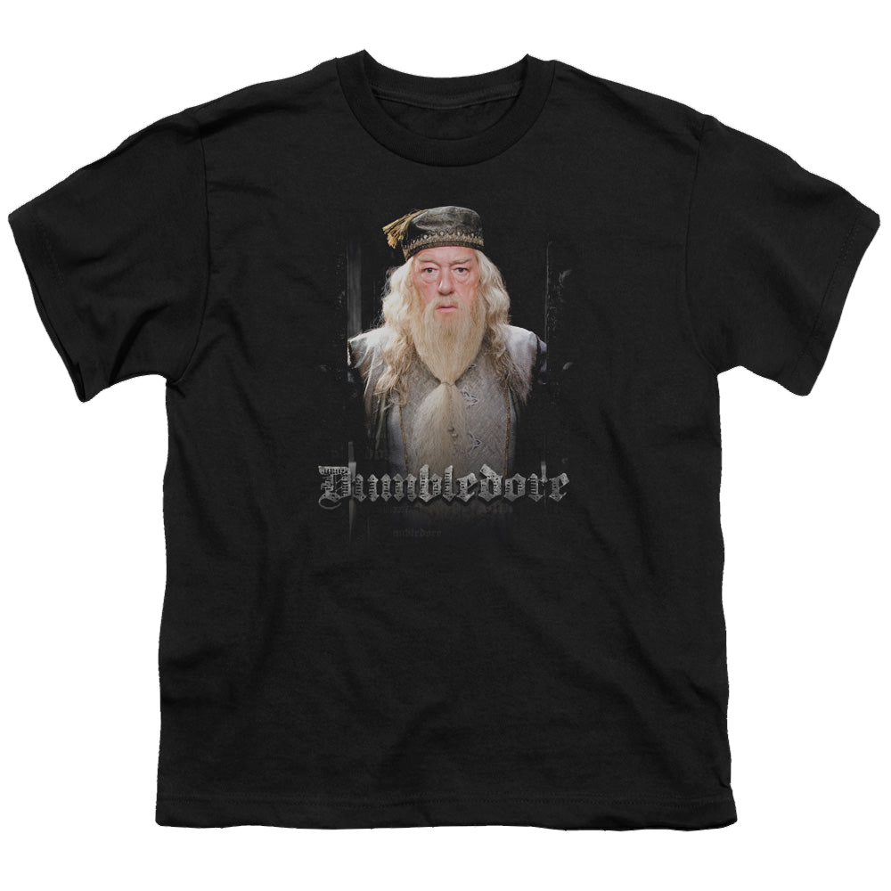 Harry Potter Dumble Doors - Youth T-Shirt Youth T-Shirt (Ages 8-12) Harry Potter   