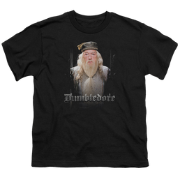 Harry Potter Dumble Doors - Youth T-Shirt Youth T-Shirt (Ages 8-12) Harry Potter   