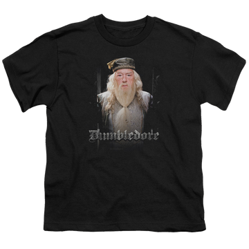 Black youth t-shirt for ages 8 to 12 with Harry Potter Dumble Doors graphic