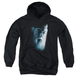 Harry Potter Dumbledore Face - Youth Hoodie Youth Hoodie (Ages 8-12) Harry Potter   