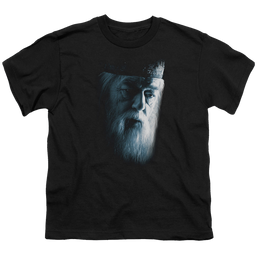 Harry Potter Dumbledore Face - Youth T-Shirt Youth T-Shirt (Ages 8-12) Harry Potter   