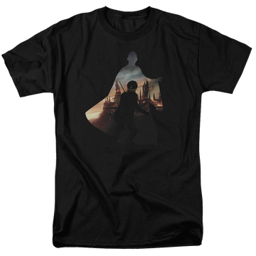 Harry Potter Voldemort Looms Men's Regular Fit T-Shirt Men's Regular Fit T-Shirt Harry Potter   