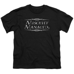 Harry Potter Mischief Managed - Youth T-Shirt Youth T-Shirt (Ages 8-12) Harry Potter   