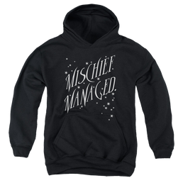 Harry Potter Mischief Managed 4 - Youth Hoodie Youth Hoodie (Ages 8-12) Harry Potter   