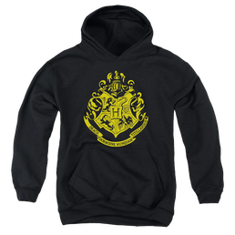 Harry Potter Hogwarts Crest - Youth Hoodie Youth Hoodie (Ages 8-12) Harry Potter   