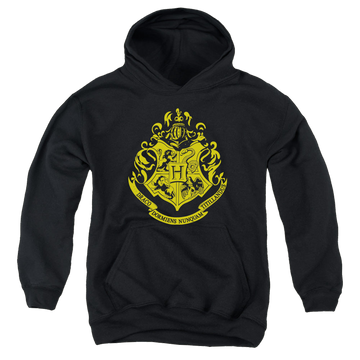 Harry Potter Hogwarts Crest - Youth Hoodie Youth Hoodie (Ages 8-12) Harry Potter   