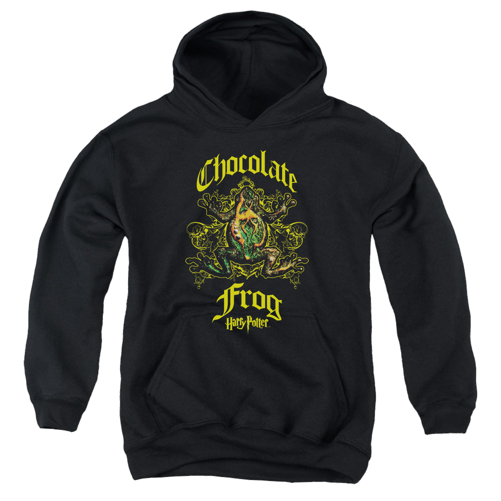 Harry Potter Chocolate Frog - Youth Hoodie Youth Hoodie (Ages 8-12) Harry Potter   