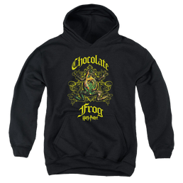 Harry Potter Chocolate Frog - Youth Hoodie Youth Hoodie (Ages 8-12) Harry Potter   