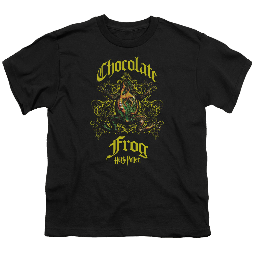 Harry Potter Chocolate Frog - Youth T-Shirt Youth T-Shirt (Ages 8-12) Harry Potter   