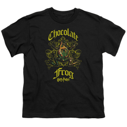 Harry Potter Chocolate Frog - Youth T-Shirt Youth T-Shirt (Ages 8-12) Harry Potter   