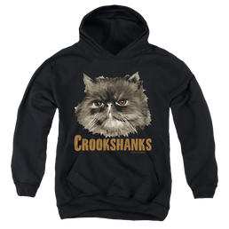 Harry Potter Crookshanks - Youth Hoodie Youth Hoodie (Ages 8-12) Harry Potter   