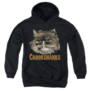 Black youth hoodie for ages 8 to 12 with Harry Potter Crookshanks graphic