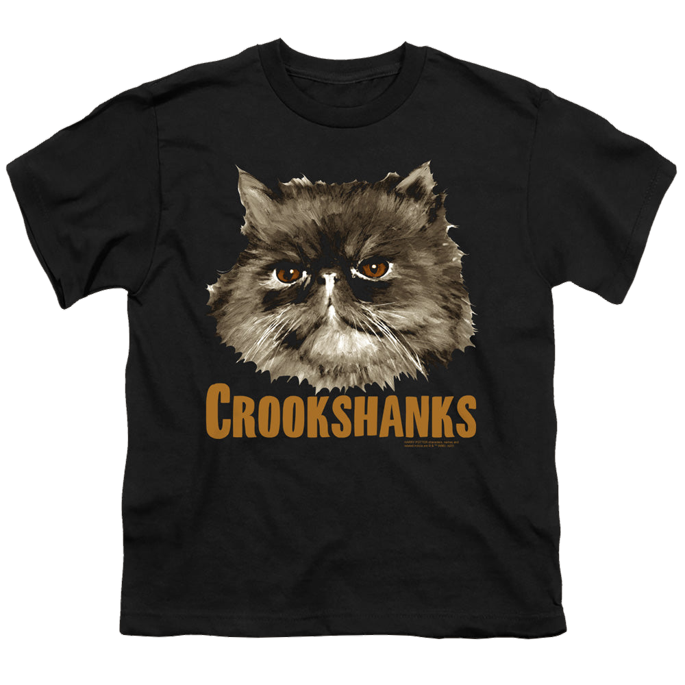 Harry Potter Crookshanks - Youth T-Shirt Youth T-Shirt (Ages 8-12) Harry Potter   