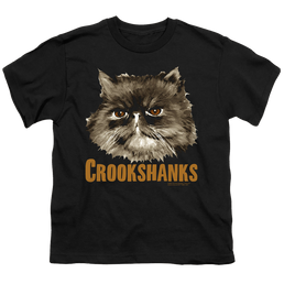 Harry Potter Crookshanks - Youth T-Shirt Youth T-Shirt (Ages 8-12) Harry Potter   