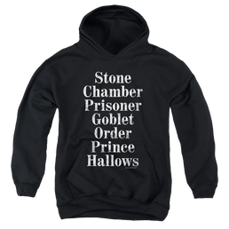 Harry Potter Titles - Youth Hoodie Youth Hoodie (Ages 8-12) Harry Potter   