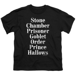 Harry Potter Titles - Youth T-Shirt Youth T-Shirt (Ages 8-12) Harry Potter   